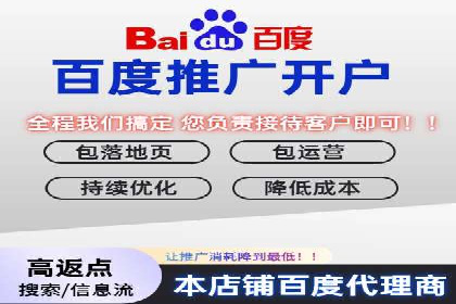 创新驱动：SEM竞价优化的多维度案例分析